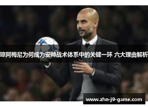 琼阿梅尼为何成为安帅战术体系中的关键一环 六大理由解析
