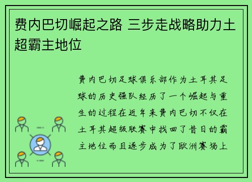 费内巴切崛起之路 三步走战略助力土超霸主地位
