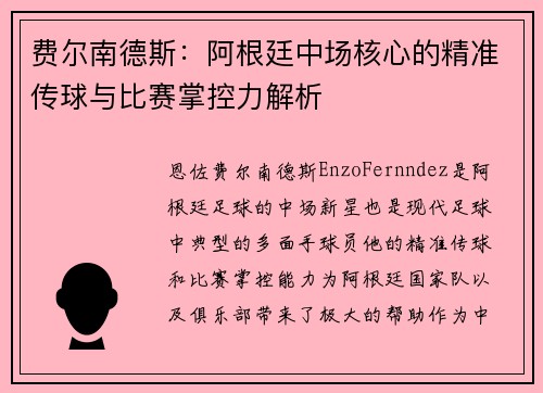 费尔南德斯：阿根廷中场核心的精准传球与比赛掌控力解析