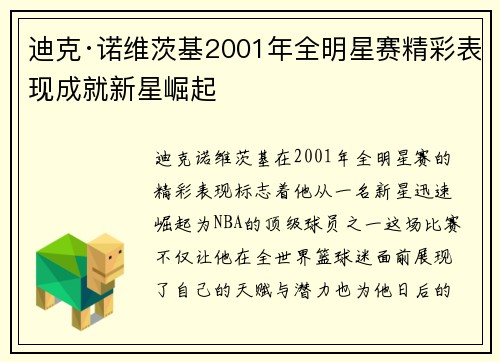 迪克·诺维茨基2001年全明星赛精彩表现成就新星崛起